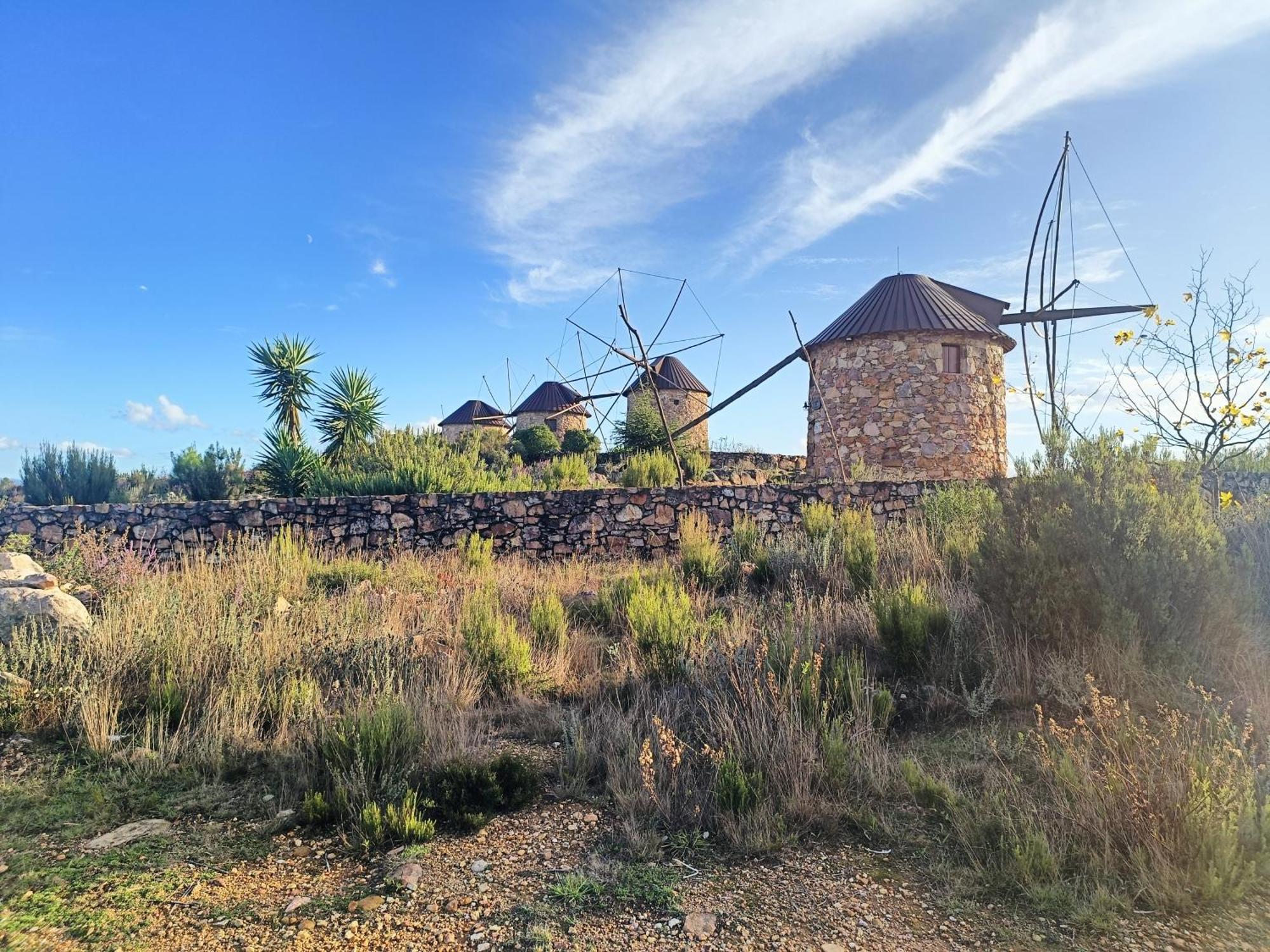 Moinho Da Alfazema Villa Penacova Exteriör bild