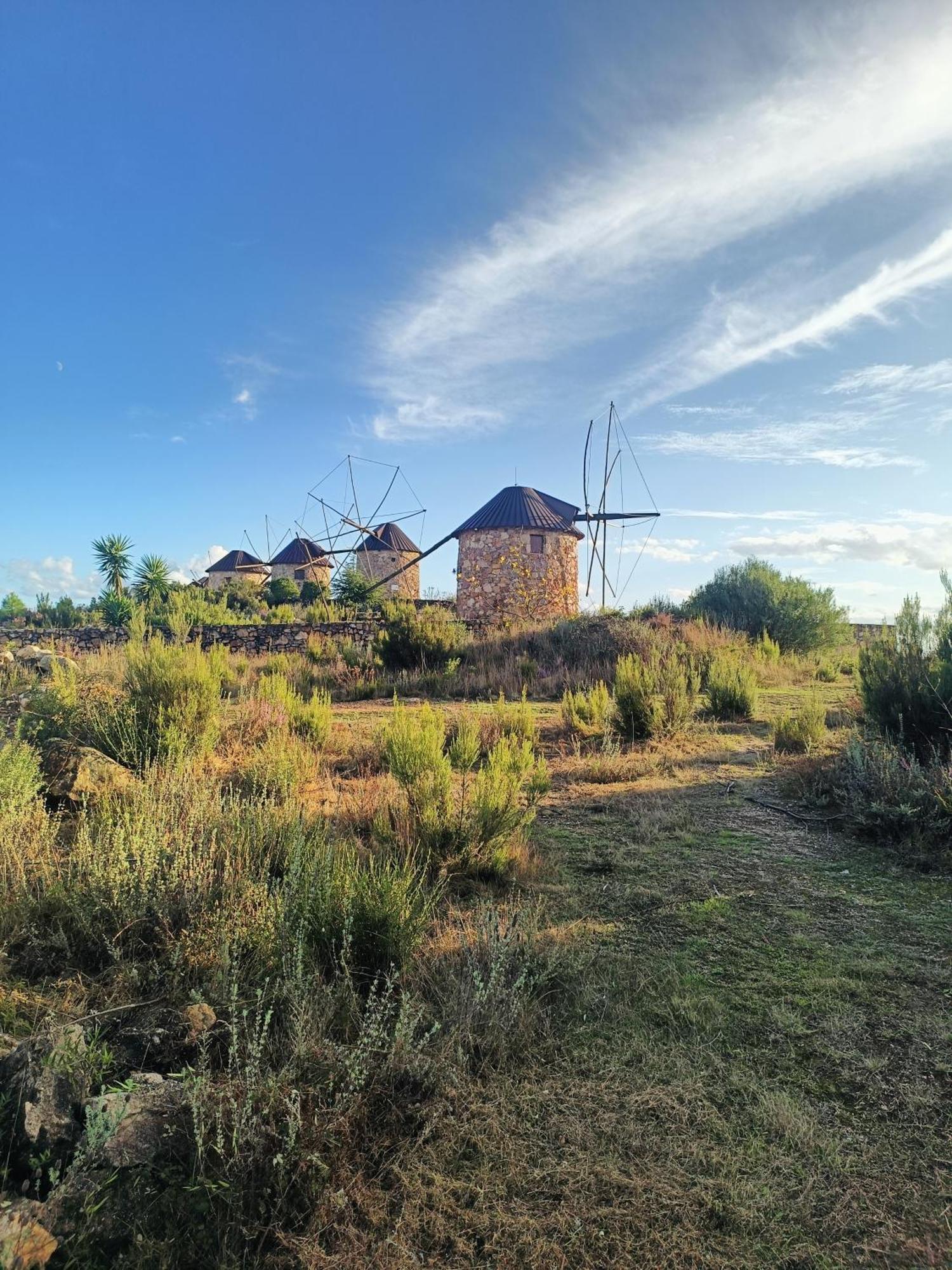 Moinho Da Alfazema Villa Penacova Exteriör bild
